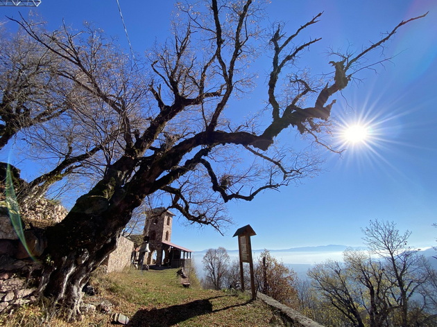 vo-vikendichka-na-idje-na-jablanica-vnatre-dominira-kaminot-vo-dvorot-sadam-indiski-palmi-20.jpg