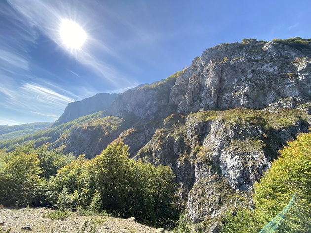 vo-vikendichka-na-idje-na-jablanica-vnatre-dominira-kaminot-vo-dvorot-sadam-indiski-palmi-24.jpg