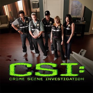 csi2.jpg